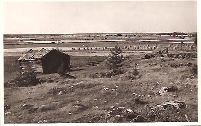 KAUHAVA
Näkymä Saarimaasta Lapuanjoelle päin. Kuvan on tuottanut Albin Aaltonen 1950-luvun lopulla. Kortti on postitettu Kauhavalta Suonenjoelle 22.7.61, siinä lähettäjät kiittelevät viimeisestä ja ilmoittavat uuden osoitteensa Rajakylässä Helsingissä nykyisin.
