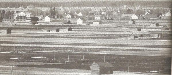 KAUHAVA
Maisemaa Kauhavalta 1960-luvun lopulta.
