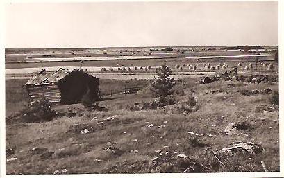 KAUHAVA
NÃ¤kymÃ¤ Saarimaasta Lapuanjoelle pÃ¤in. Kuvan on tuottanut Albin Aaltonen 1950-luvun lopulla. Kortti on postitettu Kauhavalta Suonenjoelle 22.7.61, siinÃ¤ lÃ¤hettÃ¤jÃ¤t kiittelevÃ¤t viimeisestÃ¤ ja ilmoittavat uuden osoitteensa RajakylÃ¤ssÃ¤ HelsingissÃ¤ nykyisin.
