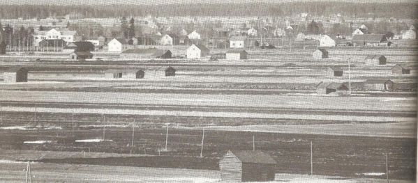 KAUHAVA
Maisemaa Kauhavalta 1960-luvun lopulta.
