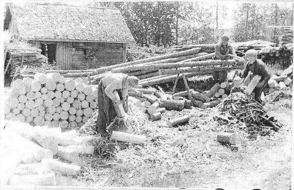 KAUHAVA
Kovasen vÃ¤keÃ¤ YlikylÃ¤n HonkolanmÃ¤ellÃ¤ pÃ¤respÃ¶lliÃ¤ tekemÃ¤ssÃ¤. Valokuvannut VÃ¤inÃ¶ Tuomaala 1952. Kuva saatu EtelÃ¤-Pohjanmaan Nuorisoseuran arkistosta.
