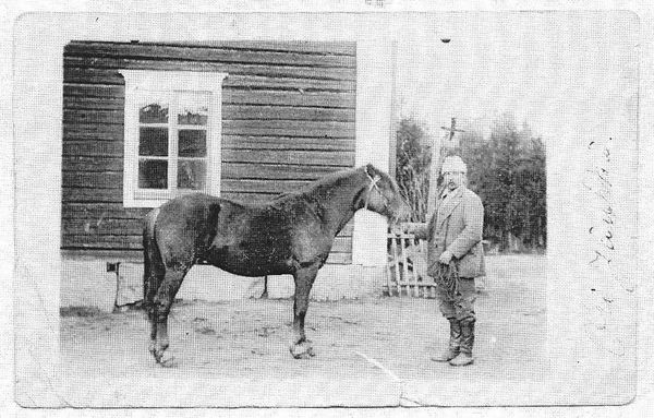 KAUHAVA
MaanviljelijÃ¤ Heikki SipilÃ¤ hevosensa JÃ¤ykÃ¤n kanssa. Valokuvattu vuonna 1915. Kuva on saatu EtelÃ¤-Pohjanmaan Nuorisoseuran arkistosta.
