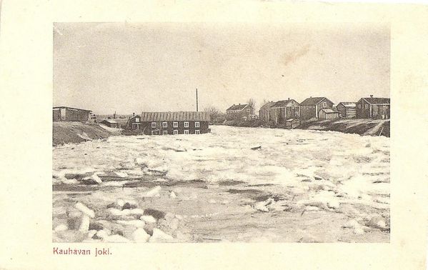 KAUHAVA
Kauhavanjoki kevÃ¤ttulvissa, Kallion saha vasemmalla, Kalliokosken taloja oikealla. Kuva on otettu noin v. 1910. Kortti on kulkenut nyrkkipostissa: "Kunnioitettava neiti Martta Katariina FrÃ¤ntilÃ¤ Kauhava. Hauskaa nimipÃ¤ivÃ¤Ã¤ toivoo Ã¤iti. 25.11.13", eli sata vuotta sitten on "lÃ¤hetetty".
